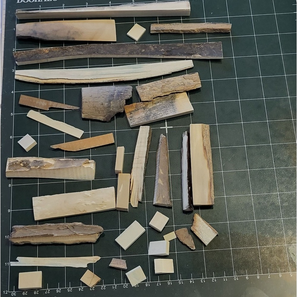 Petrified 32 Wood Pieces Branches Jewelry Making Collecting Pieces